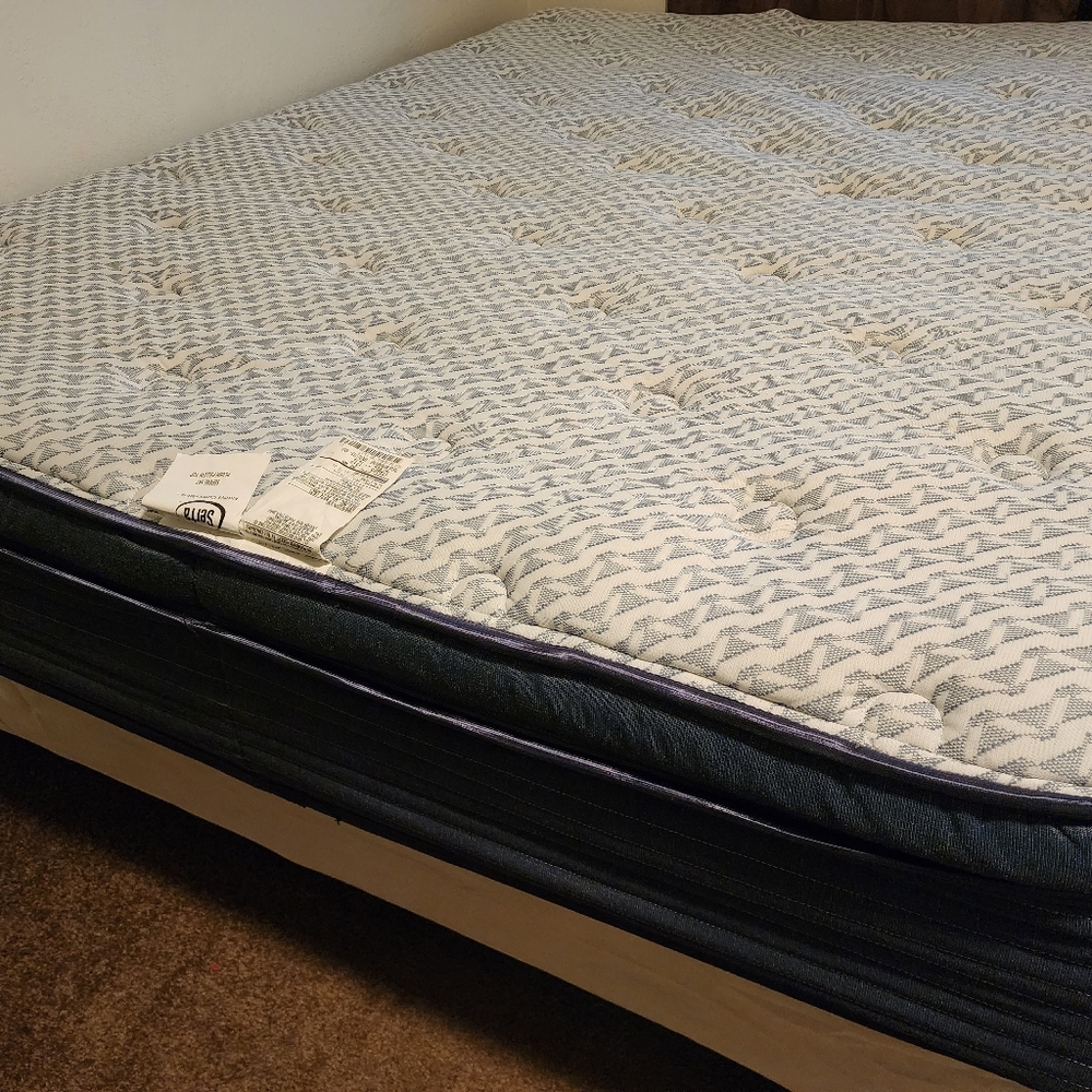 Serta Queen Mattress Only